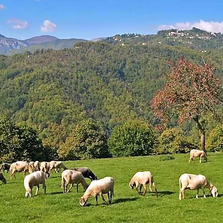 Il Lonfo